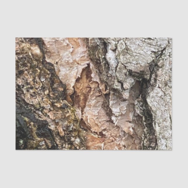 Brown Gray Tree Bark Texture Old Photo Art Tissue Paper (Front)