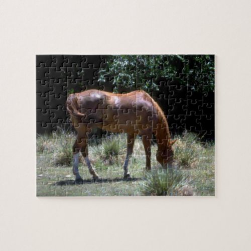 Brown Grazing Horse Jigsaw Puzzle