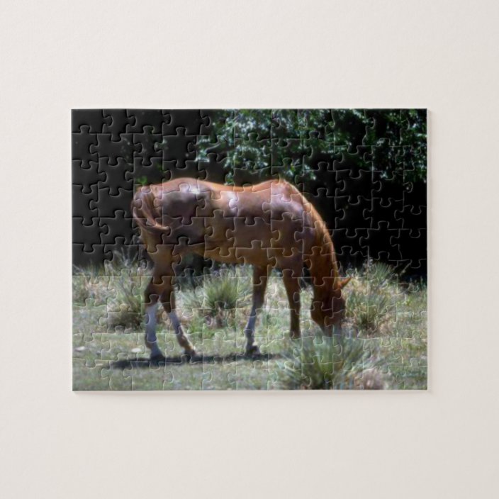 horse jigsaw puzzles