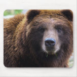 Brown Grizzly Bear Mouse Pad at Zazzle