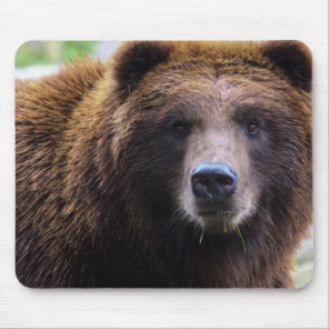 Brown Grizzly Bear Mouse Pad