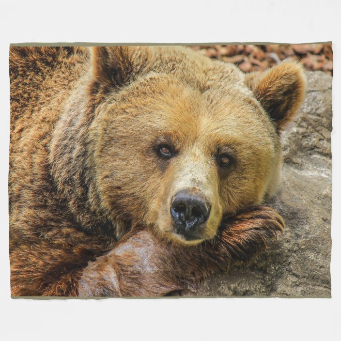 grizzly bear blanket