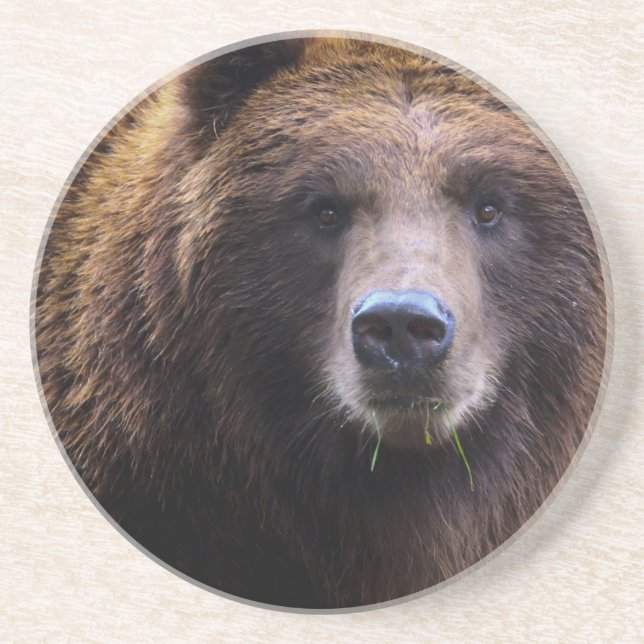 Brown Grizzly Bear Sandstone Coaster (Front)