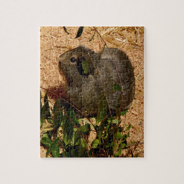 Brown Guinea Pig, Jigsaw Puzzle (Vertical)
