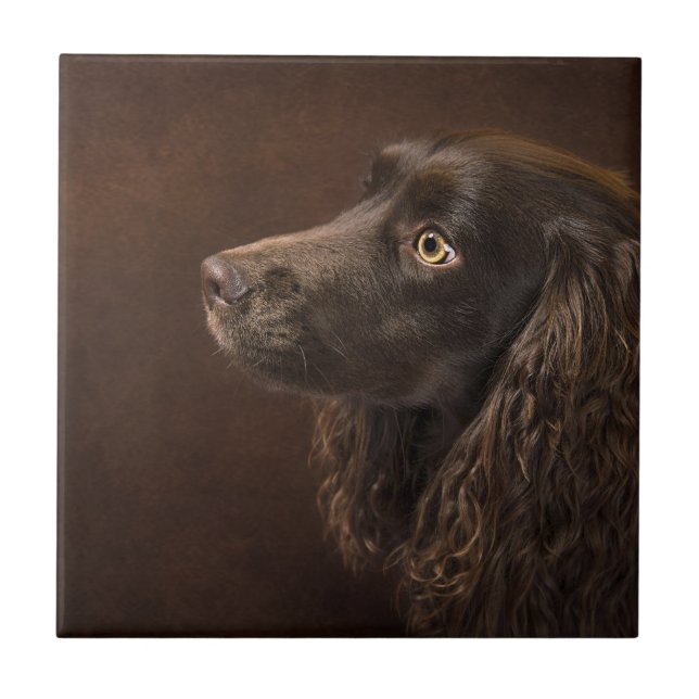 Brown-Haired Dog Ceramic Tile (Front)