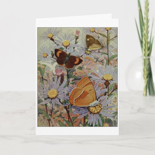 Brown Hairstreak Butterfly Card