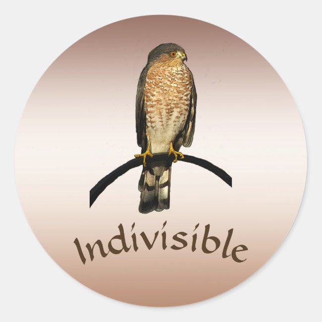 Brown Hawk Indivisible Stickers