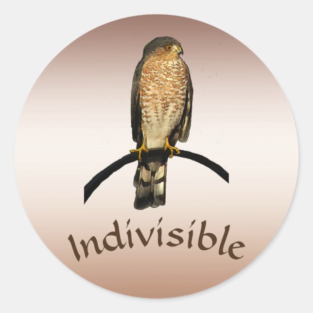 Brown Hawk Indivisible Stickers (Front)