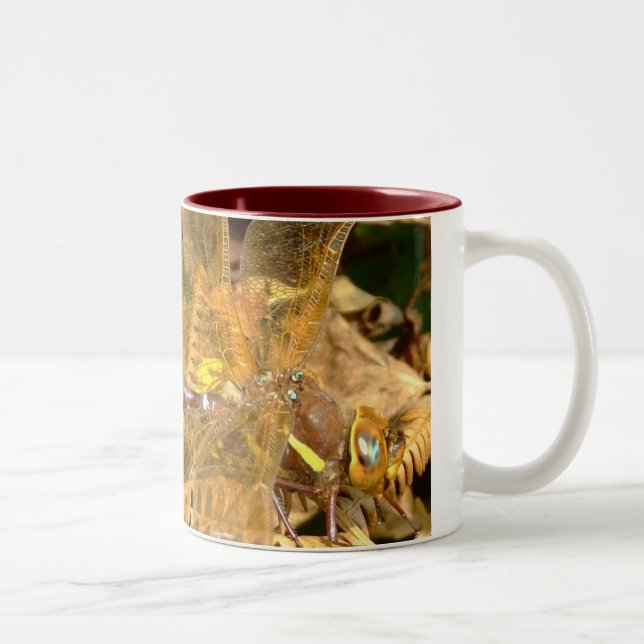 Brown Hawker Dragonfly(F) Two-Tone Coffee Mug (Right)