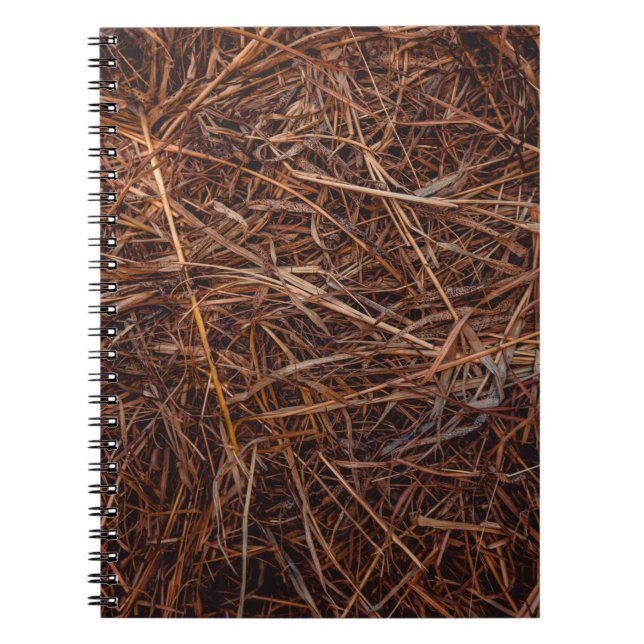Brown hay notebook (Front)