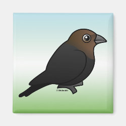 Brown-headed Cowbird Square Magnet