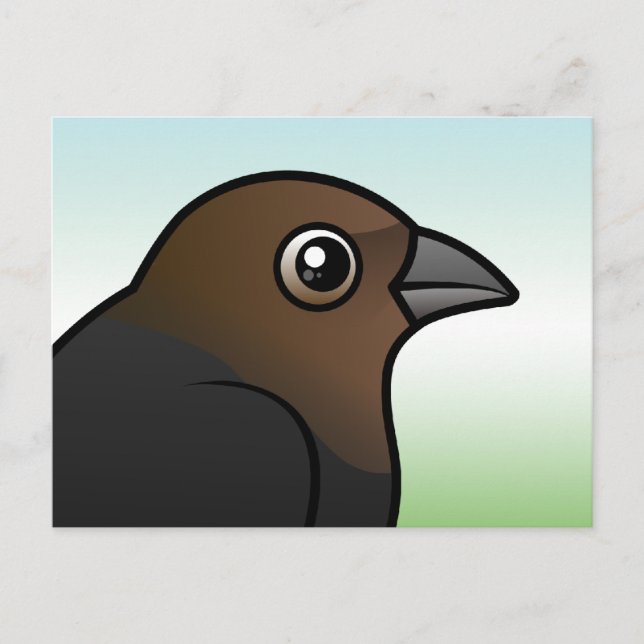 Brown-headed Cowbird Postcard (Front)