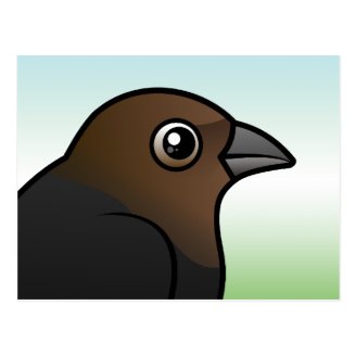 Brown-headed Cowbird Postcard