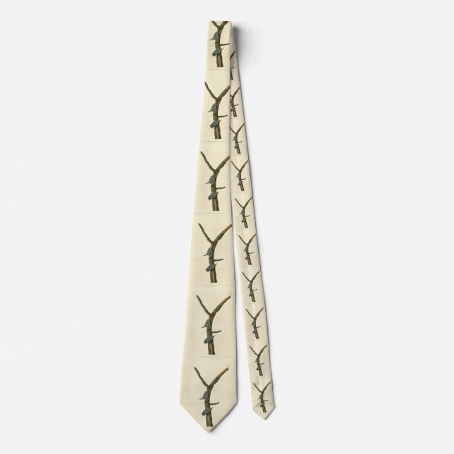 Brown-headed Nuthatch - Audubon's Birds of America Neck Tie (Front)