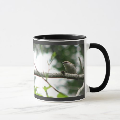 Brown_headed Nuthatch Mug