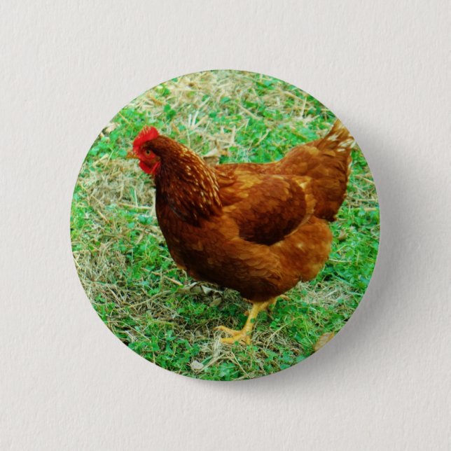 Brown Hen Button (Front)