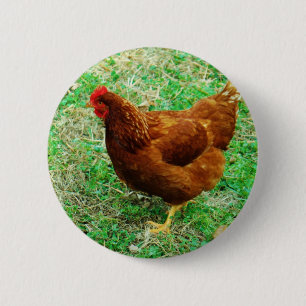 Brown Hen Button