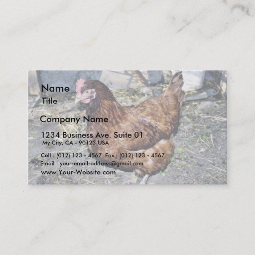 Customizable Brown Hen On The Back Yard Business Cards
