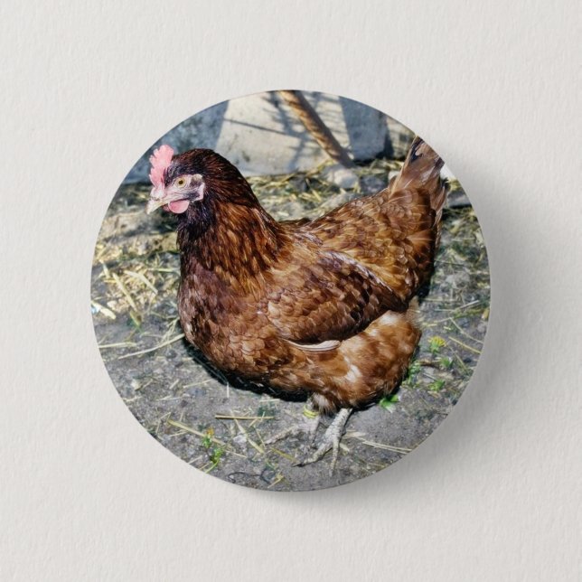 Brown Hen On The Back Yard Button (Front)