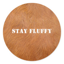 Brown Highland Cow Fur Texture