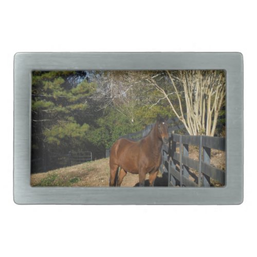 Brown Horse against a Fence Belt Buckle
