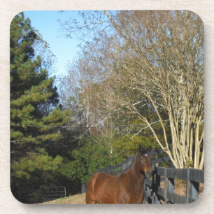 Brown Horse against a Fence Beverage Coaster
