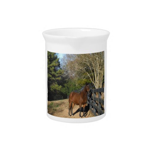 Brown Horse against a Fence Beverage Pitcher