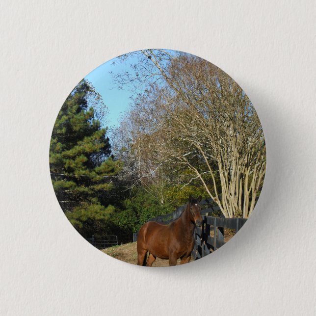Brown Horse against a Fence Button (Front)