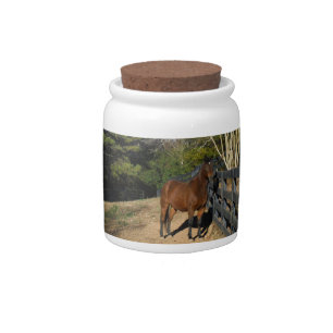 Brown Horse against a Fence Candy Jar
