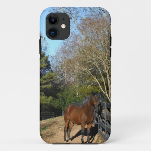 Brown Horse against a Fence iPhone 11 Case