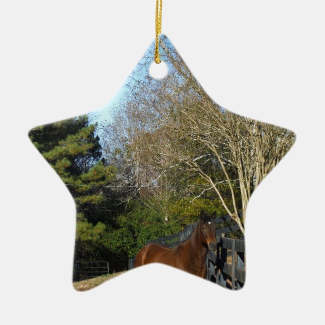Brown Horse against a Fence Ceramic Ornament (Front)
