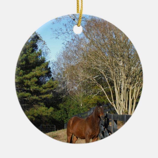 Brown Horse against a Fence Ceramic Ornament (Front)
