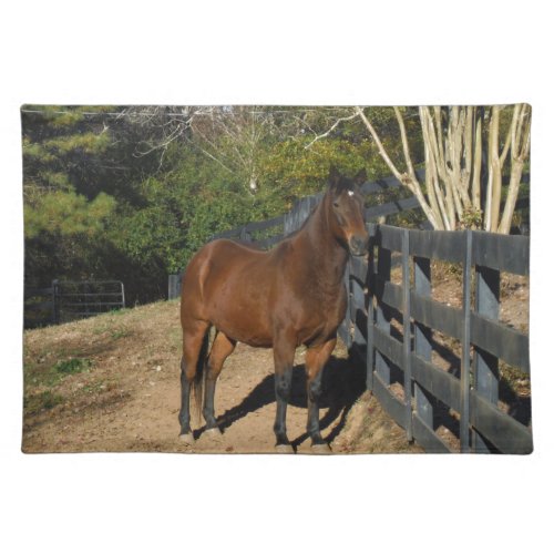 Brown Horse against a Fence Cloth Placemat