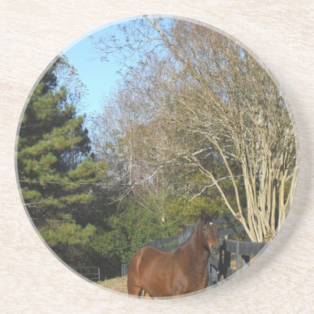 Brown Horse against a Fence Drink Coaster (Front)