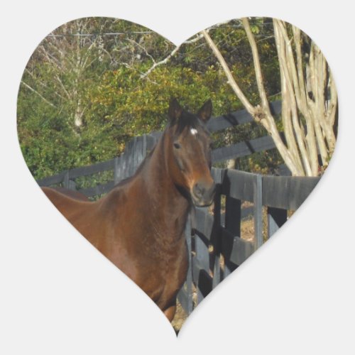 Brown Horse against a Fence Heart Sticker