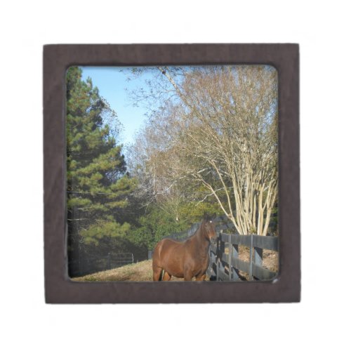 Brown Horse against a Fence Jewelry Box