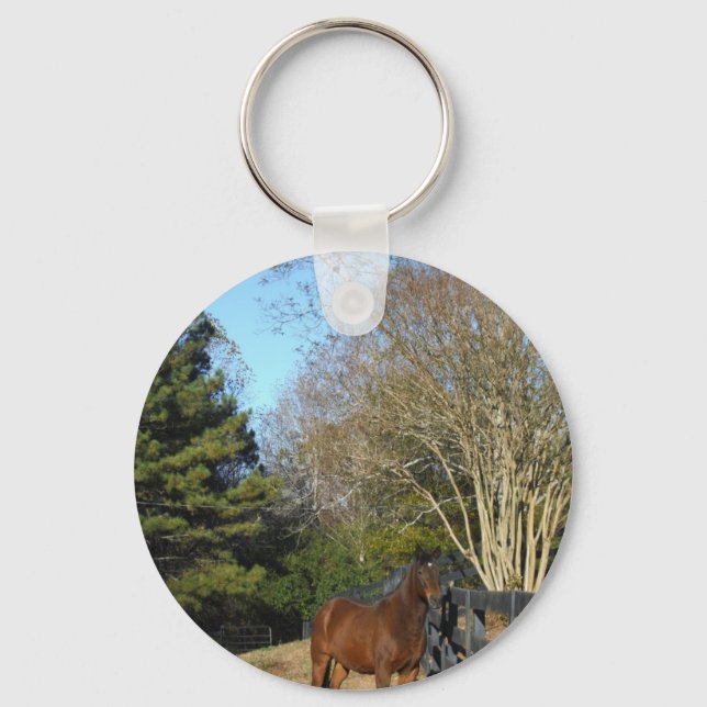 Brown Horse against a Fence Keychain (Front)
