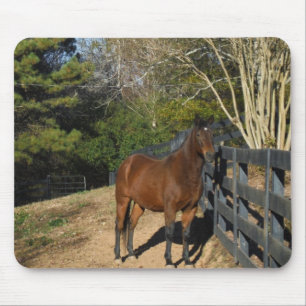 Brown Horse against a Fence Mouse Pad