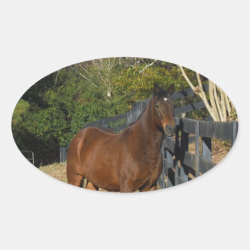 Brown Horse against a Fence Oval Sticker