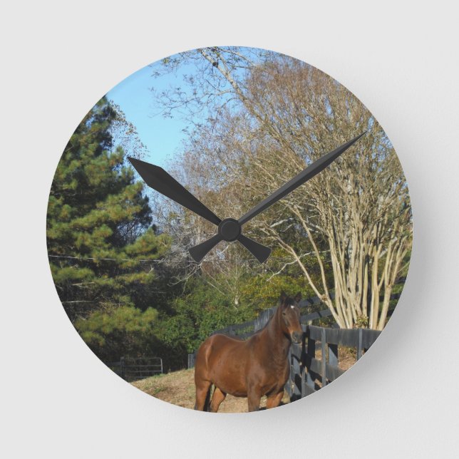 Brown Horse against a Fence Round Clock (Front)