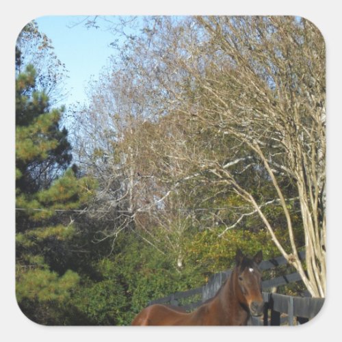 Brown Horse against a Fence Square Sticker