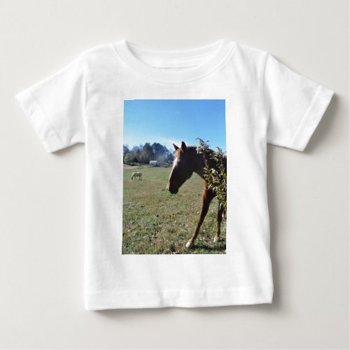 Brown Horse against blue sky Baby T_Shirt