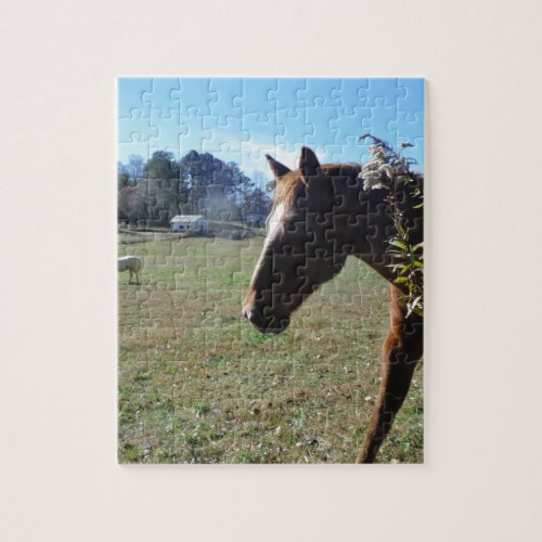 Brown Horse against blue sky Jigsaw Puzzle