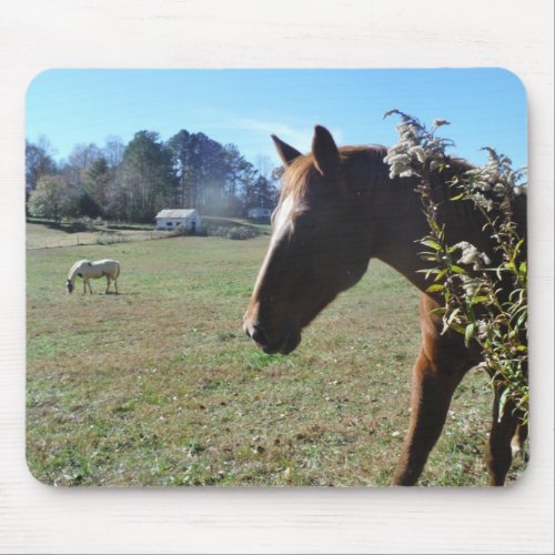 Brown Horse against blue sky Mouse Pad