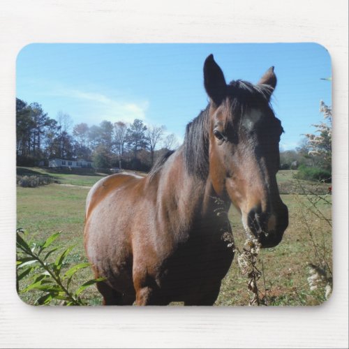 Brown Horse against blue sky Mouse Pad