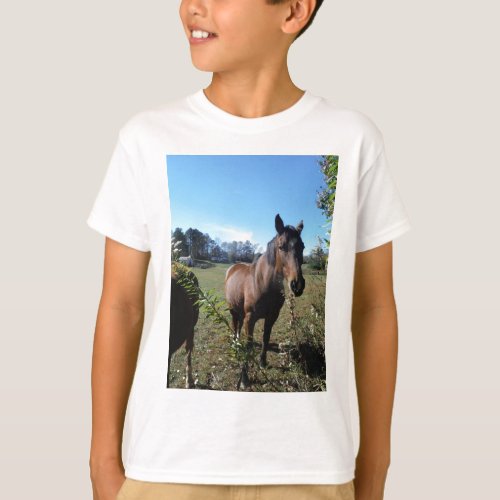 Brown Horse against blue sky T_Shirt