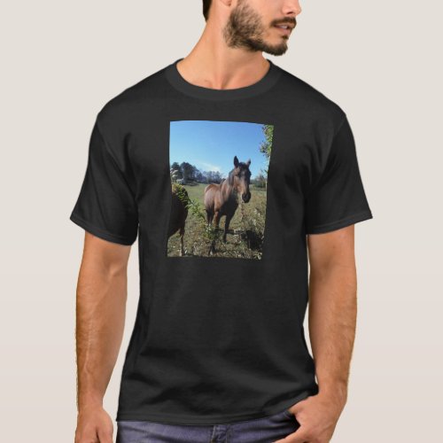 Brown Horse against blue sky T_Shirt