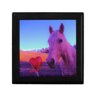 Brown Horse and Red Heart Gift Box