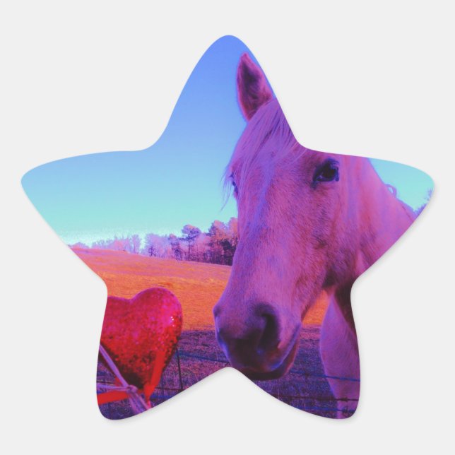 Brown Horse and Red Heart Star Sticker (Front)