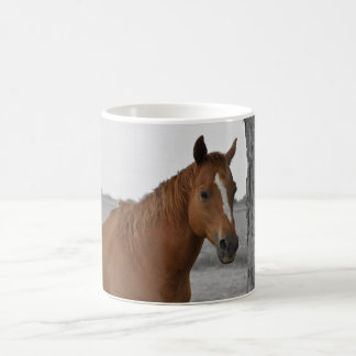 Brown Horse, B&W Background Mug